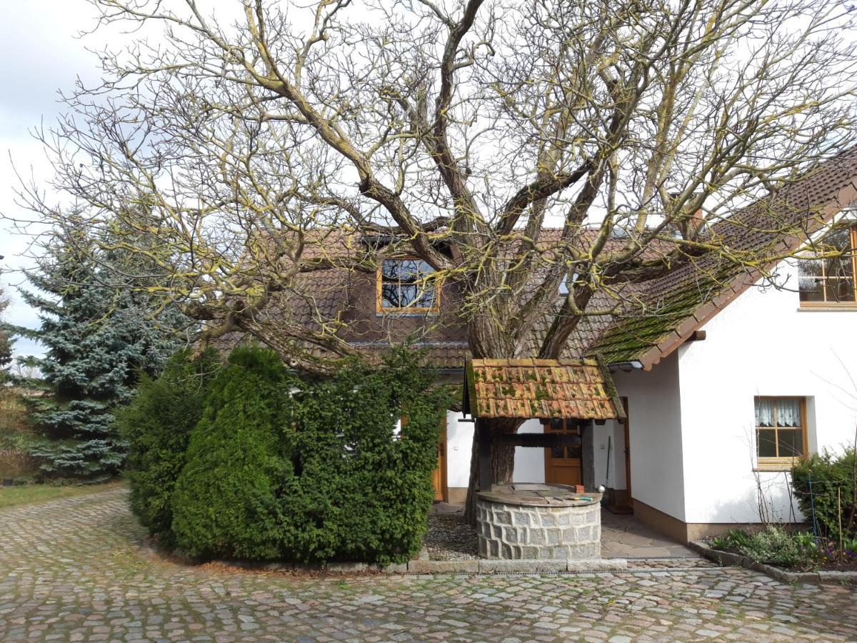 Ein Bett Im Kornfeld - Haus Morgensonne - Mit Innenpool Schonfeld  المظهر الخارجي الصورة